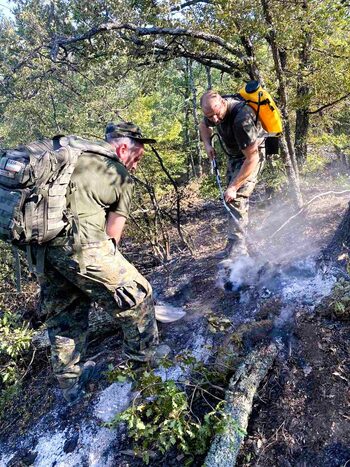 Късо съединение е причината за пожара в свищовското село Ореш