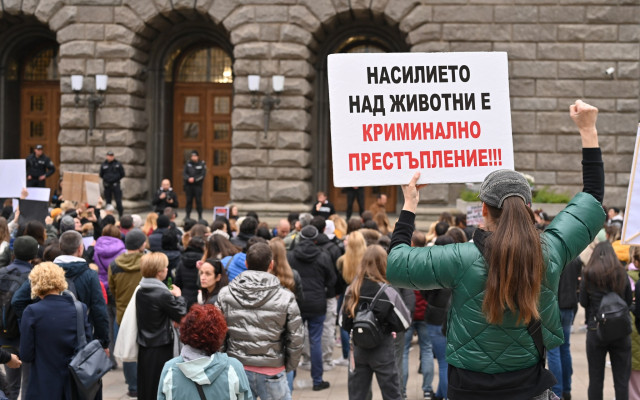 Поредни протести срещу насилието над животни в София и Варна