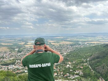 Световнопризнат учен обяви, че показаният отпечатък от лапа не е на леопард