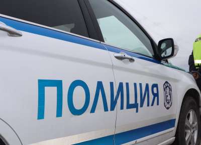 Стопанка от Берковица откри мъртво домашното си куче